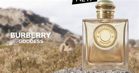 perfume burberry fragrance sample|burberry goddess perfume boots.